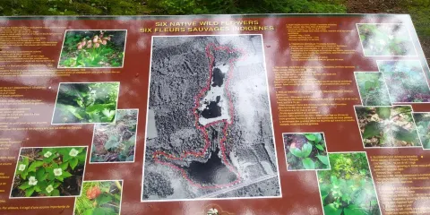 Harvey Moore Wildlife Sanctuary c/o SEA