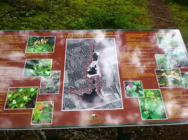 Harvey Moore Wildlife Sanctuary