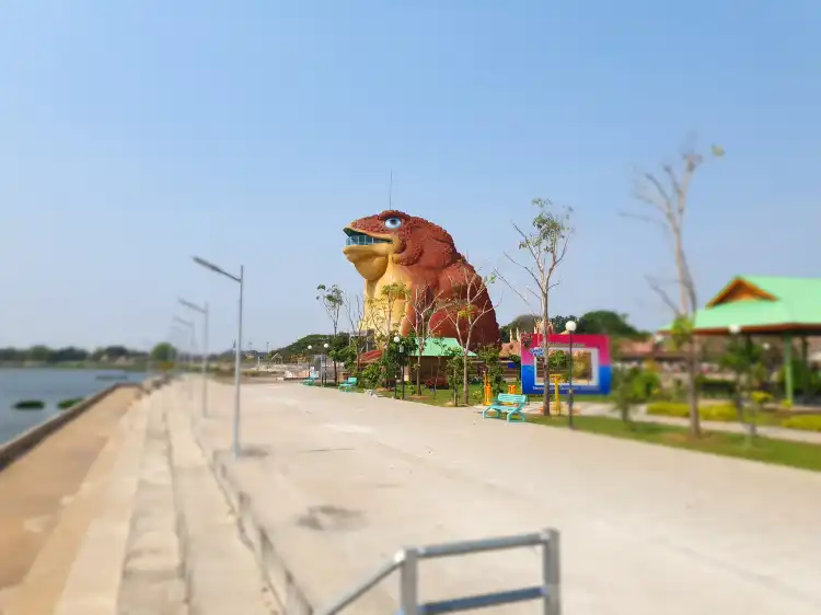 Hotels near The Toad Museum