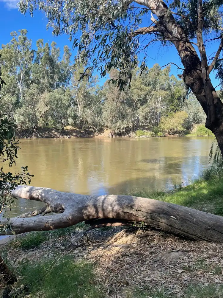 Hotels near Wiradjuri Walking Track