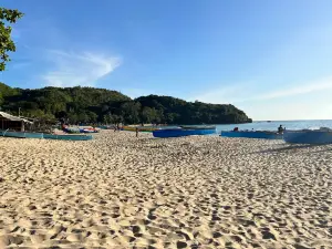 Abagatanen Beach Resort Barandoc Cottages Carlo and Julian's House