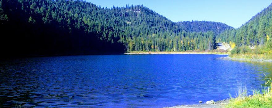 Joyce Lake