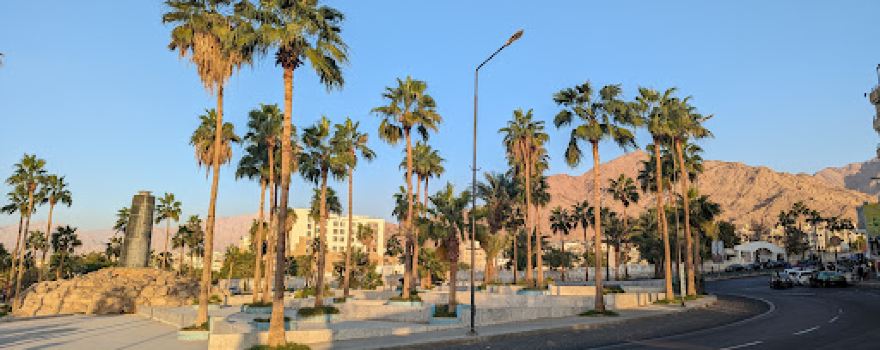 Tunisian Hammamet Gardens