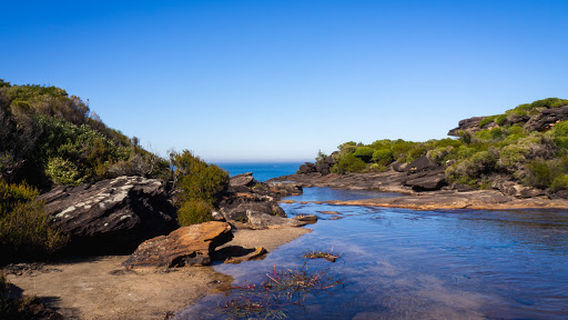 Coast Track