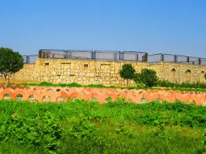 Great Park Of Mahshahr