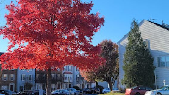 Ray Muth Sr. Memorial Park