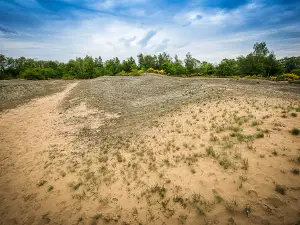 Dunes de Charmes Natural Area