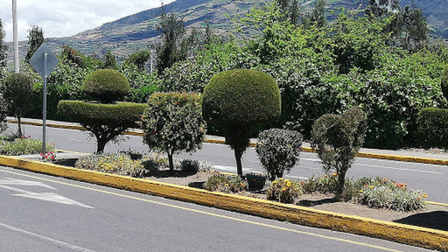 Pinguilí Central Park