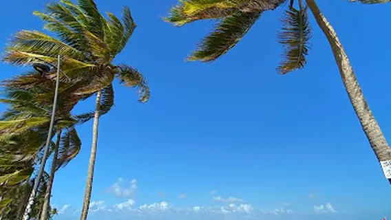 Surf Beach Bryan J. Ramos La Pared