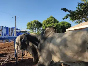 Parque de Exposição Agropecuária de Edéia