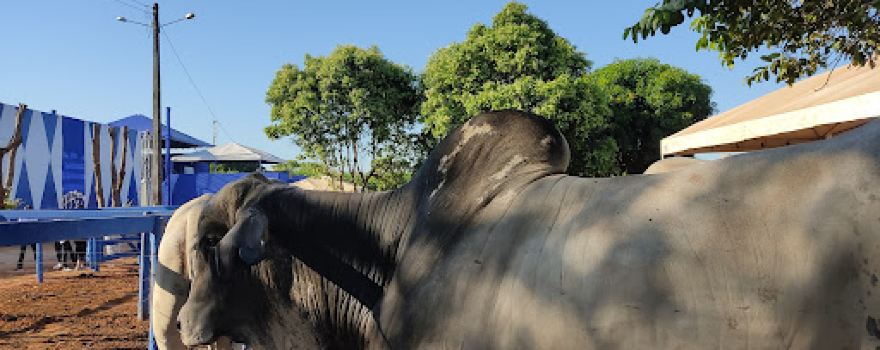 Parque de Exposição Agropecuária de Edéia
