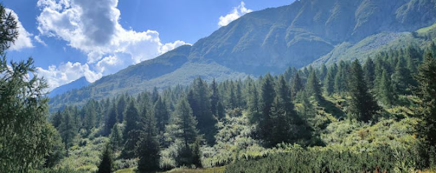Biotopo Torbiera del Tonale