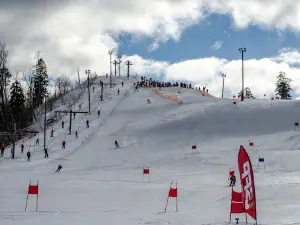 Viešura kalns