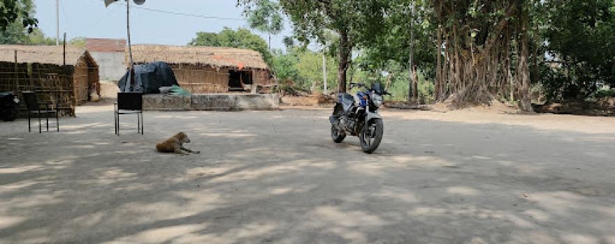 Amahua Baba Kuti