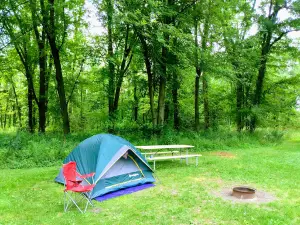 Allendale / West Grand Rapids KOA Holiday