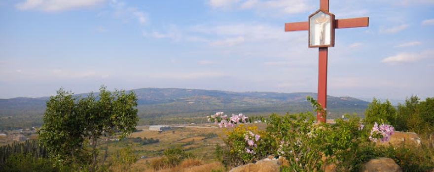 Divine Mercy Catholic Shrine