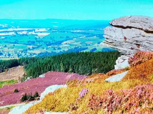 Simonside