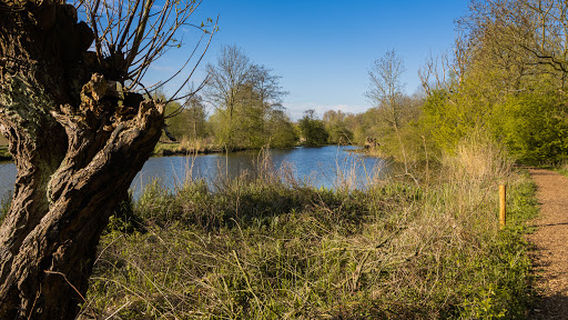 Heempark
