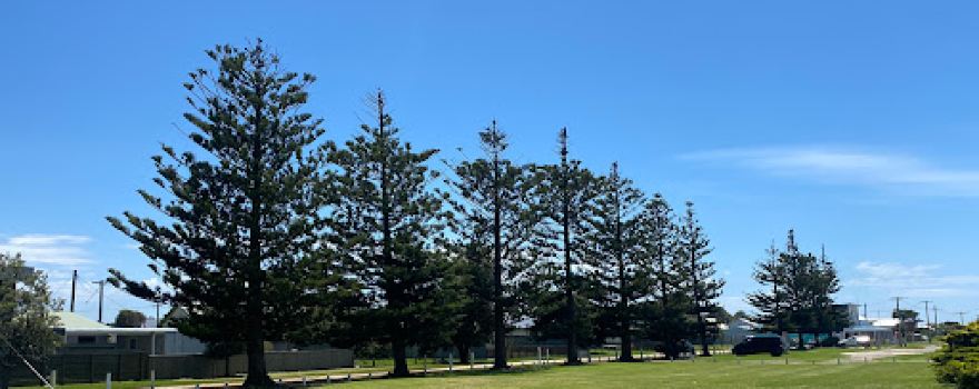 Seaspray Beach