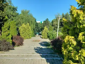 Parcul Movas