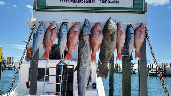 Destin