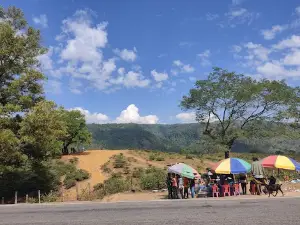 Shreepur Tea Garden/ শ্রীপুর চা বাগান