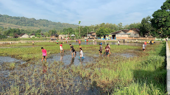 Lapangan Pojok Kidul