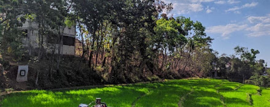 Gerbang Utara Desa Temboro