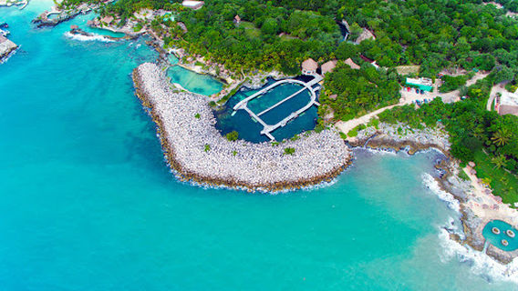Delphinus Riviera Maya