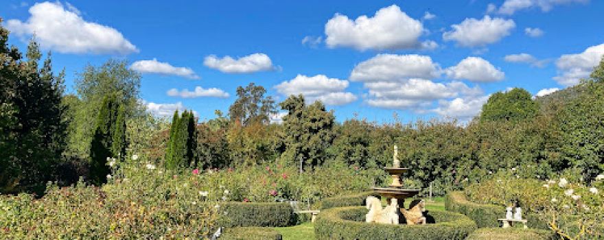 Brookfield Maze