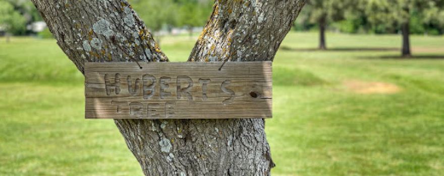 Copperas Hollow Country Club