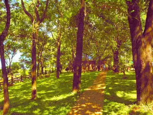 Hayanggabon EcoPark