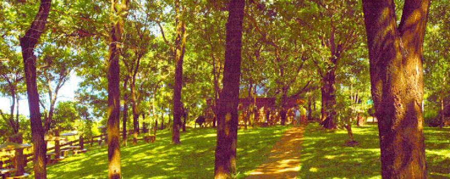 Hayanggabon EcoPark