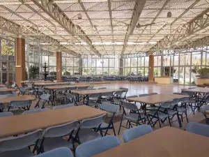 Recreatívo Pirque, Santiago - Caja los Andes Park