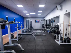 L'Orange Bleue Segré