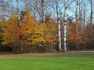 Lakeside Golf Course