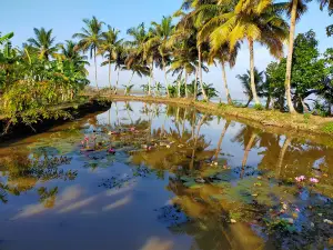 Malarikkal Sunset View Point