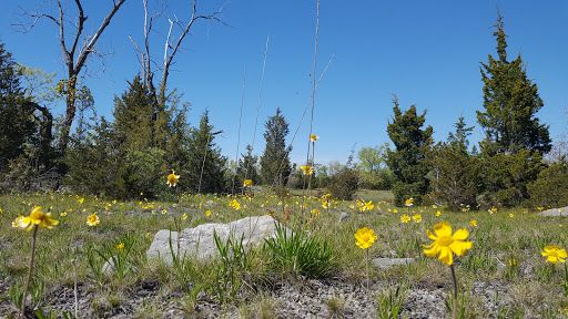 Lakeside Daisy State Nature Preserve