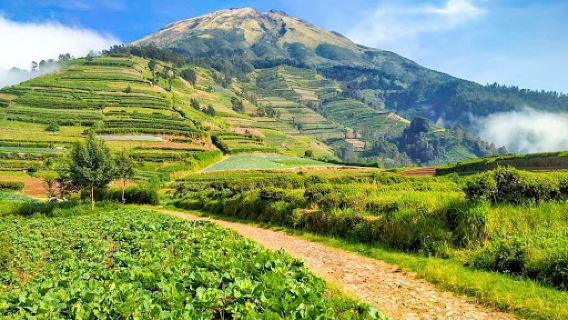 Basecamp Sumbing Via Kaliangkrik Adipuro