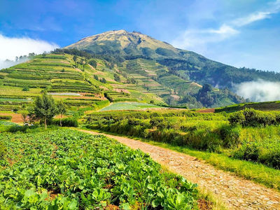 Basecamp Sumbing Via Kaliangkrik Adipuro