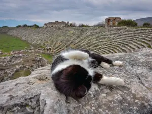 Aphrodisias Stadium