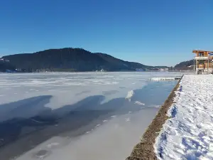 Park Gerardmer