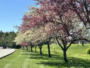Benzinger Park