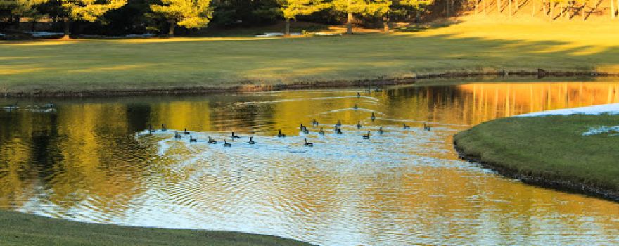 Cedar Knob Golf Course