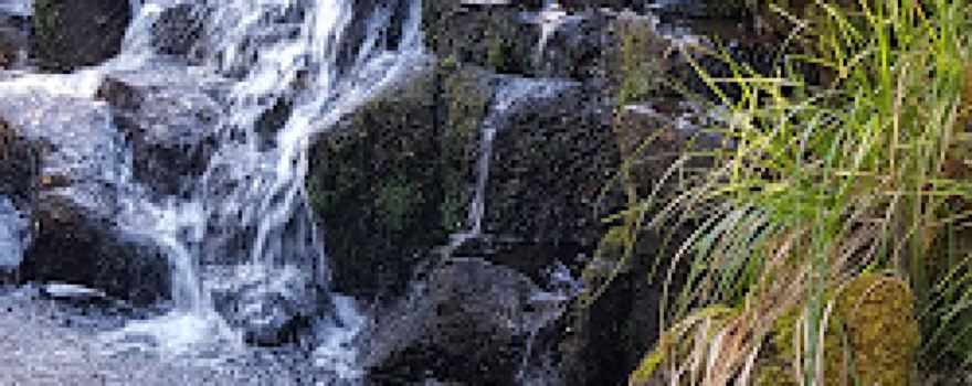 Carmichael Falls Walk