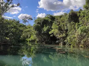 Reserva Ecológica Caraguatatiba