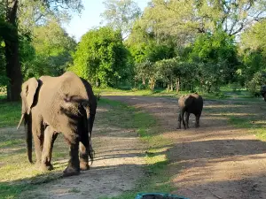World Wild Life Monument