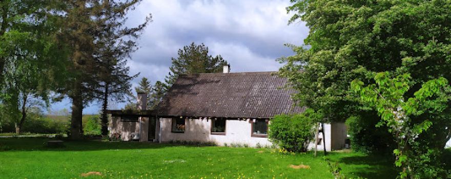 THE NATURAL FOREST MONASTERY IN RANDERS