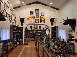 Museo Victorino Martín