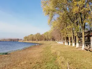 Akumulaciono jezero „Čonoplja”